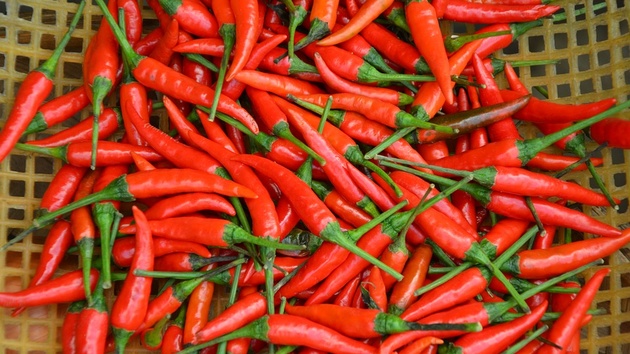Game Developers Conference: AMD mit Live Webcast „Capsaicin“ von der GDC