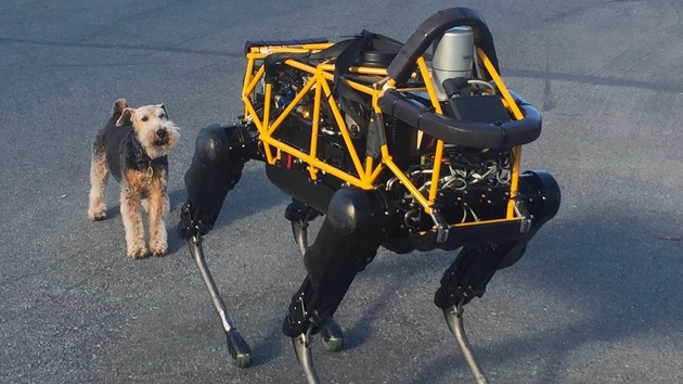 Boston Dynamics: Google will Roboterabteilung loswerden