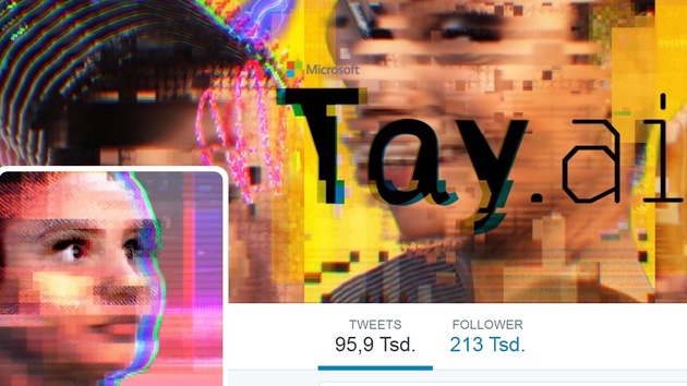 Analyse: Microsofts Tay-Bot und der Hass im Netz