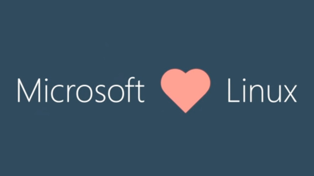 Wirtschaft: Microsoft verpflichtet „Mr. Linux“