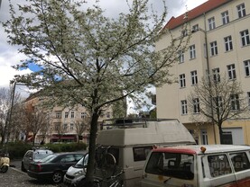 f/2.2 – ISO 25 – 1/974 Sek.