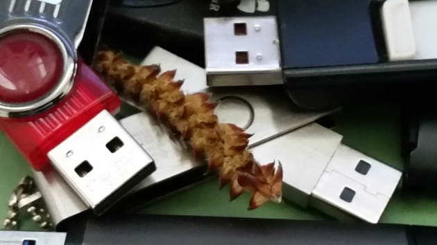 ZCryptor: Neuer Erpressungtrojaner kommt auch über USB-Sticks