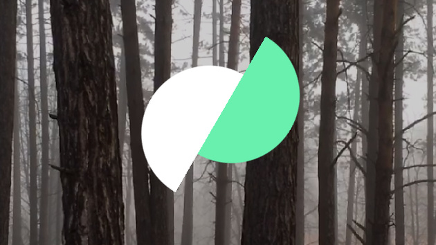 Motion Stills für iOS: Google-App wandelt Live Photos in stabilisierte GIFs um