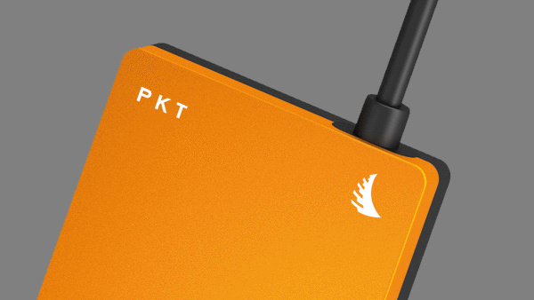 Jetzt verfügbar: Taschen-SSD Angelbird SSD2go PKT mit USB 3.1