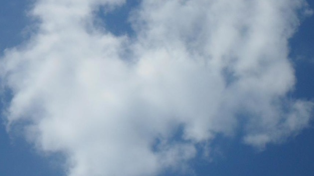 Cloud-Office: Jeder Sechste nutzt Software über das Internet