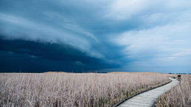 Das Siegerfoto zum Thema „Wetter"