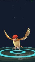 Pokémon Go – Pokémon weiterentwickelt