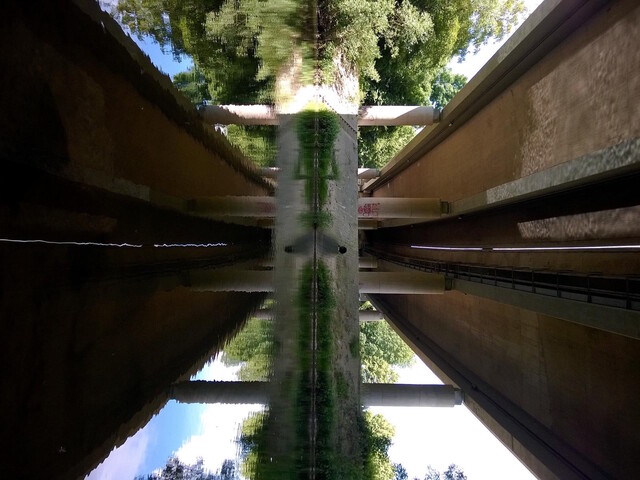 Das Siegerfoto zum Thema „Illusion"