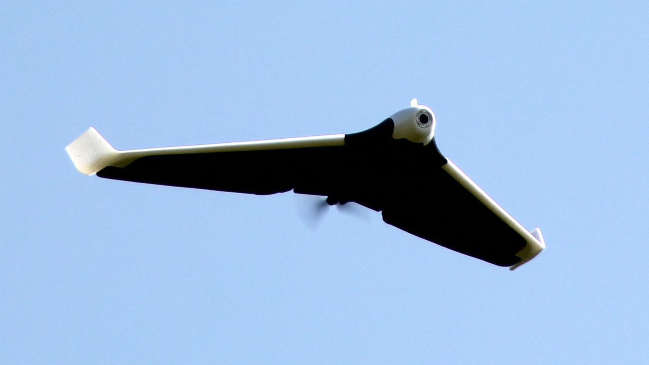 Parrot Disco: Die Drohne für Modellflieger