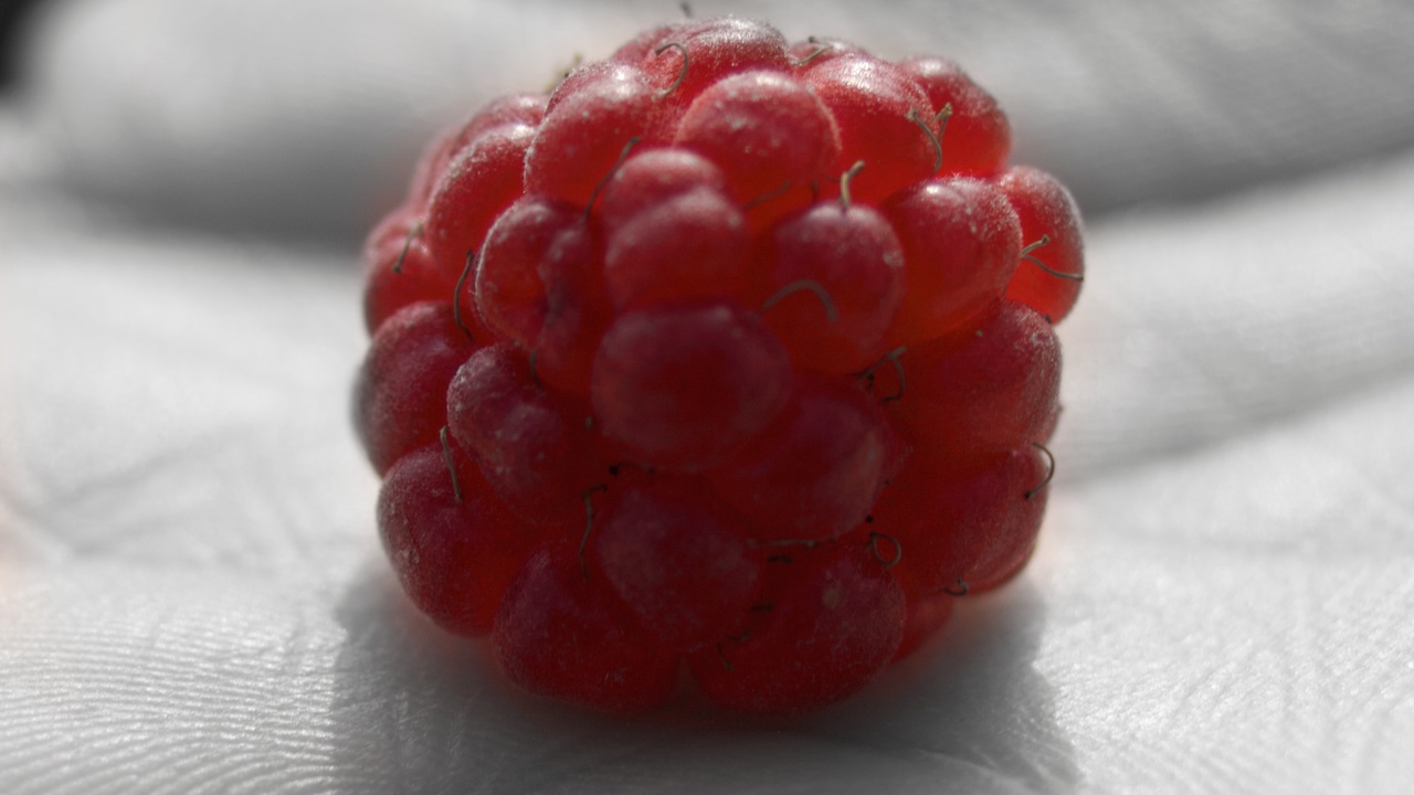 Raspberry Pi: Raspbian erhält ein neues Gesicht