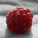 Raspberry Pi: Raspbian erhält ein neues Gesicht