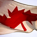 US-Wahl: Internet Archive will Kopie in Kanada erstellen