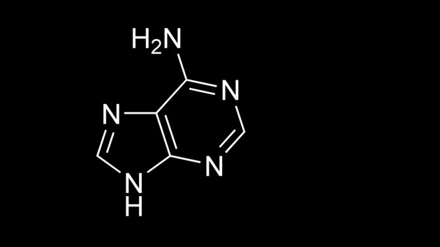 DNA-Computer: Theoretisch hohe Rechenleistungen möglich