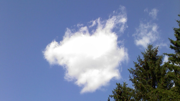 Bitkom-Studie: Immer mehr Unternehmen setzen auf die Cloud