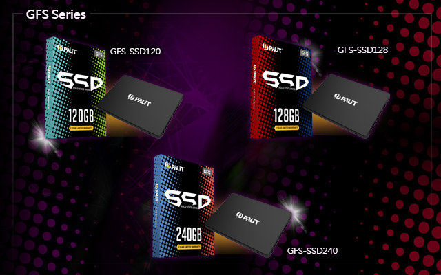 Palit GFS SSD