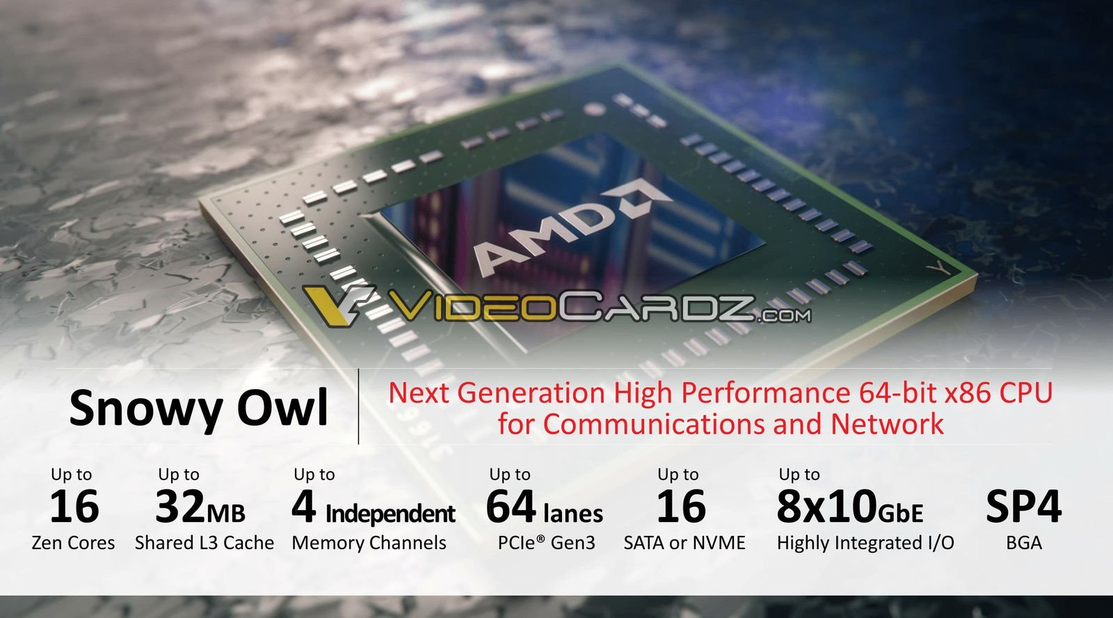 AMD Snowy Owl