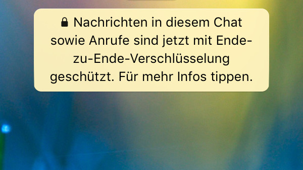 Staatstrojaner: Version für verschlüsselte Messenger kommt noch 2017