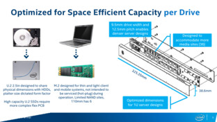 Die Ruler-SSD ist über 30 cm lang