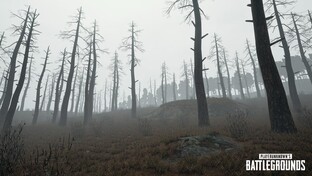 Screenshot vom neuen Wettereffekt mit Nebel