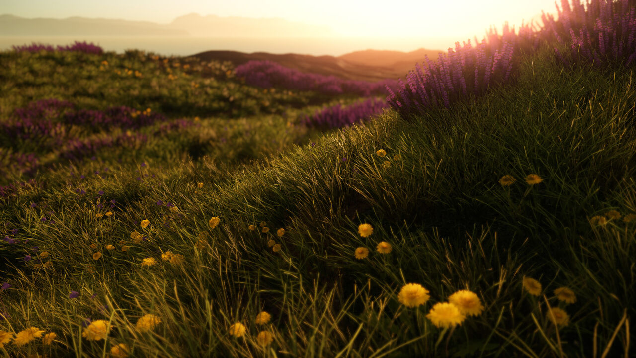 Project X (Bild: Automaton Games)