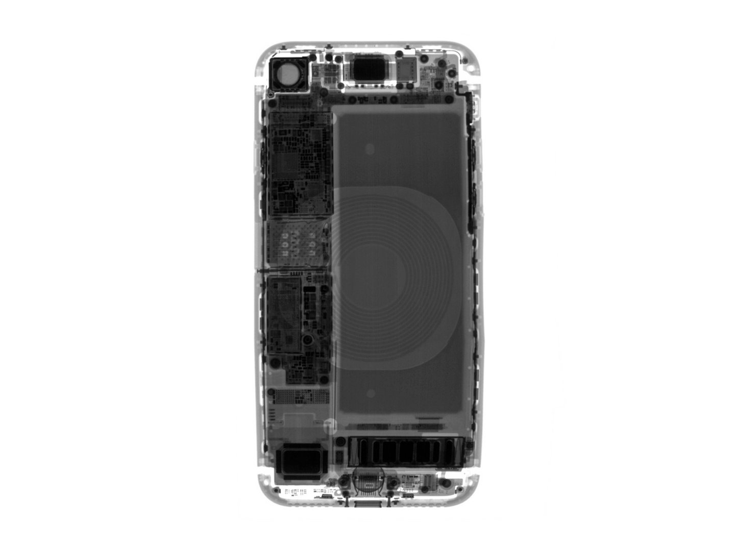 iPhone 8 – Röntgenbild der Spule für drahtloses Laden