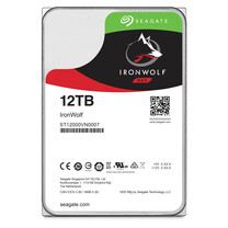 IronWolf 12 TB