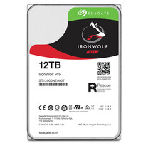 IronWolf Pro 12 TB
