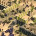 Age of Empires: Definitive: Beta für Vorbesteller und Systemanforderungen