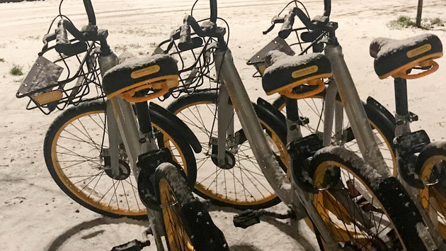 Massives Datenleck: Bei Obike waren selbst Bewegungsprofile abrufbar