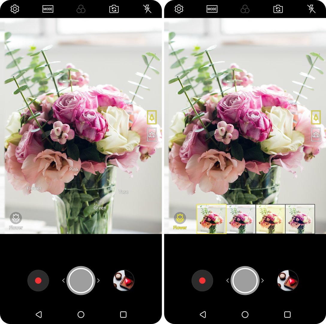 LG Vision AI erkennt Blumen