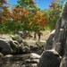 Portierung: Shenmue 1 und 2 kommen für Xbox One, PS4 und den PC