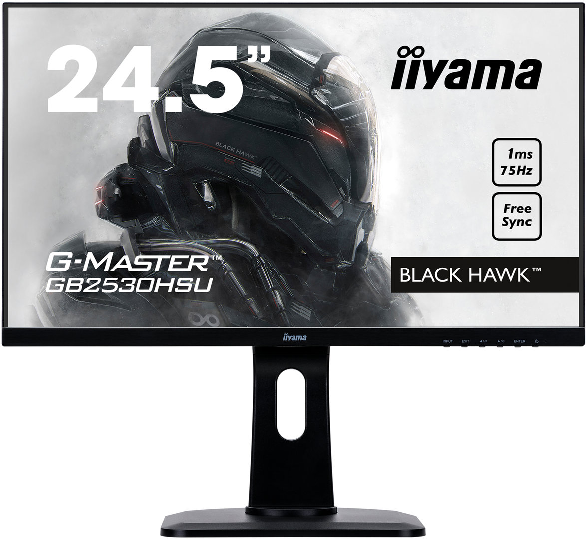 Iiyama G-Master GB2530HSU-B1 Black Hawk