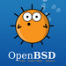 OpenBSD: Deaktiviertes Hyper-Threading zum Schutz gegen Spectre