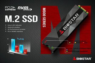 Biostar M500 SSD mit Kühler