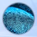 Fingerabdrucksensor: Netz aus Nanofasern misst Temperatur und Druck