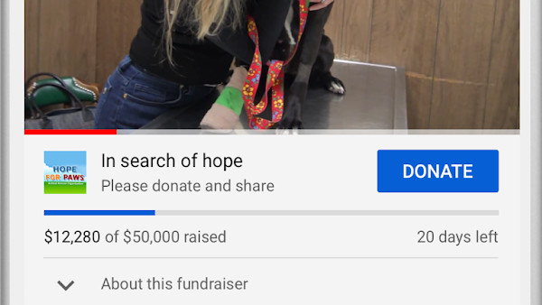 YouTube: Fundraising-Funktionen werden getestet