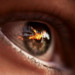 Battlefield V: Weniger Raytracing für mehr Leistung auf GeForce RTX