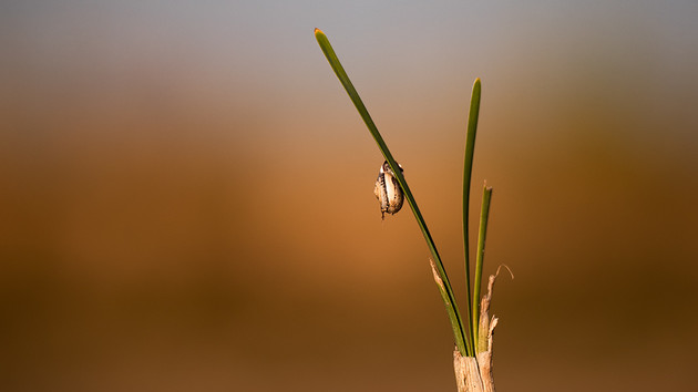 Community: Fotowettbewerb zum Thema „Minimalismus“