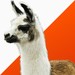 Winamp 5.8 Beta: Erstes Update für den Mediaplayer nach 5 Jahren