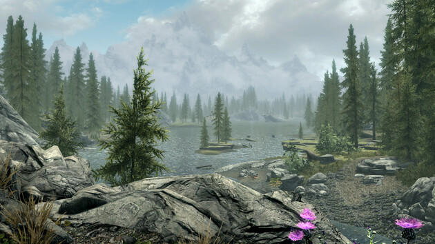 Skyrim Together: Multiplayer-Mod für Bethesda-RPG bald als Beta