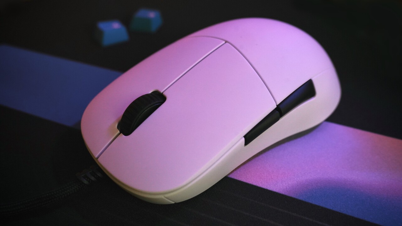 Endgame Gear XM1 im Test: Pro-Gaming-Maus kann nicht viel, das aber sehr gut
