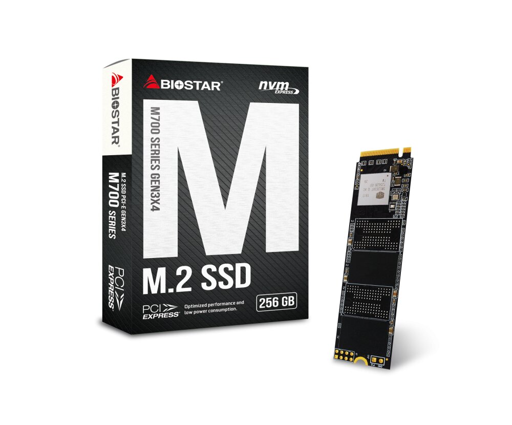 Biostar M700 SSD