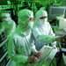 Fabrik-Erweiterungen: TSMC sucht Tausende neue Arbeitskräfte