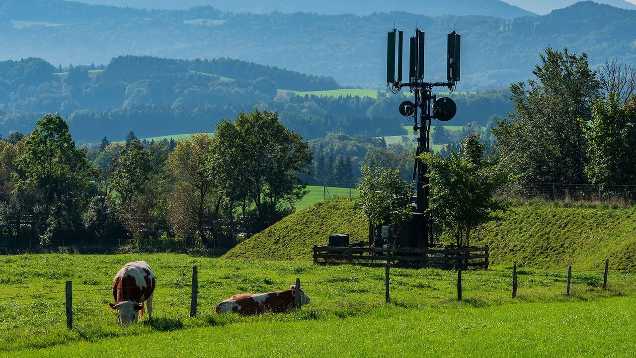 Wir jagen Funklöcher: Telekom kürt 50 weitere Gewinner von LTE-Masten