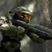 Erscheinungstermin: Halo 3 startet im Juli auf dem PC