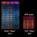 AMD: Renoir war ursprünglich nur mit bis zu 6 Kernen geplant