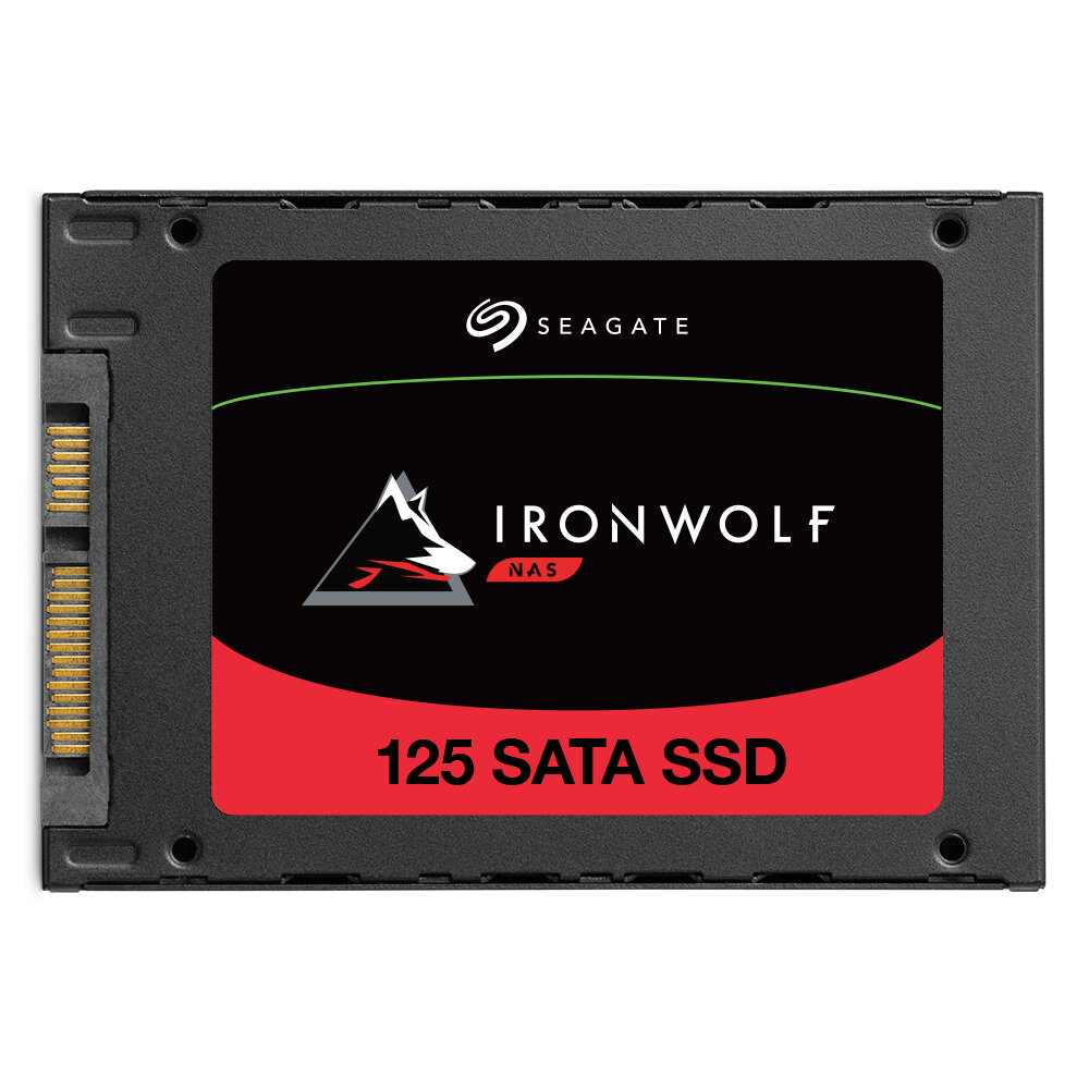 Seagate IronWolf 125 SATA SSD
