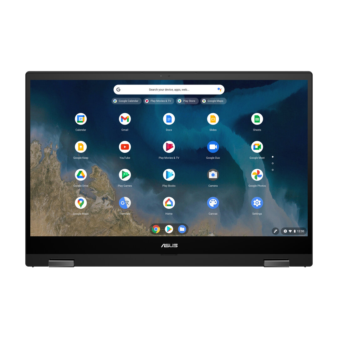 Asus Chromebook Flip CM5 (CM5500)
