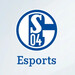 League of Legends: Schalke 04 verkauft eSports-Lizenz für 26,5 Millionen Euro