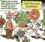 blumen.jpg